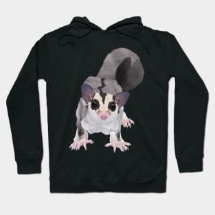 Sugar Glider Hoodie